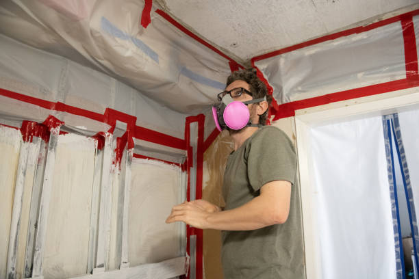 Best Mold Removal for HVAC Installations  in Wilson, AR